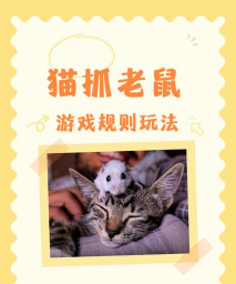 打老鼠拼音游戏怎么玩，掌握核心规则，轻松上手不费力