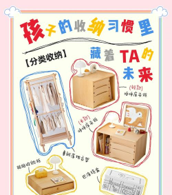 整理达人攻略游戏漫画，高效收纳技巧，轻松管理收藏