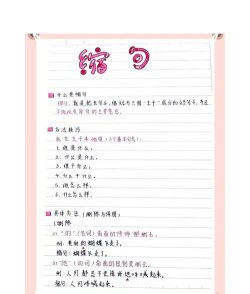 学生缩句游戏怎么玩，掌握核心规则，提升语言能力