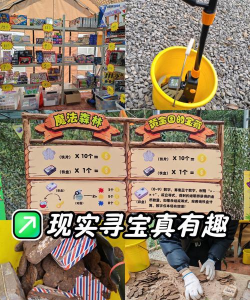 应该玩什么游戏，寻找乐趣，满足不同需求