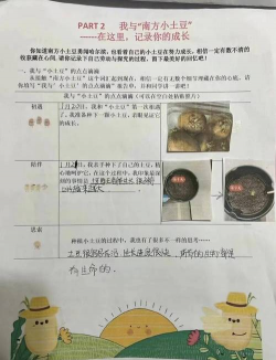 土豆游戏时间猴怎么玩，掌握核心技巧，轻松上手体验