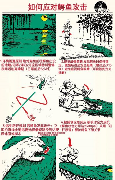 丧尸逃生游戏怎么玩下载，新手入门指南，快速上手技巧