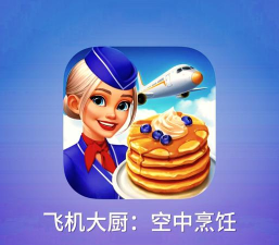 飞机餐厅医院游戏攻略，新手入门指南，快速上手技巧