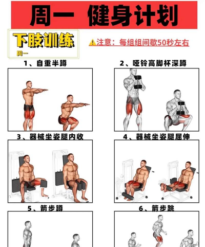 健身教练攻略游戏，新手入门指南，快速上手技巧