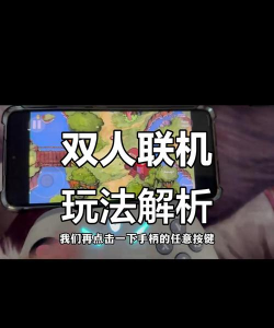 双人游戏怎么玩视频，快速上手，轻松掌握