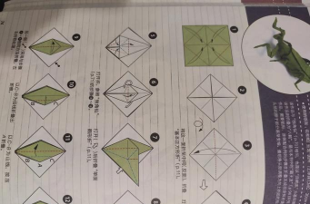 折纸游戏攻略，掌握基础技巧，轻松完成作品