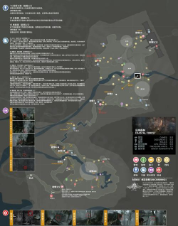古墓丽影游戏攻略9，通关技巧分享，难点解析指南