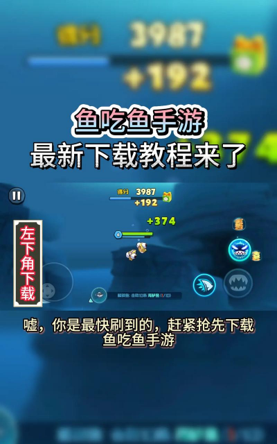 捕鱼游戏不费金币怎么玩，掌握免费技巧，享受游戏乐趣