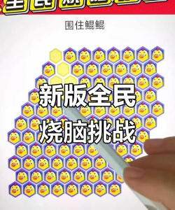 全民烧脑攻略游戏，挑战你的思维极限，解锁通关秘籍