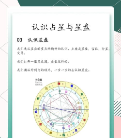 星星的日常游戏攻略，新手入门指南，快速上手技巧