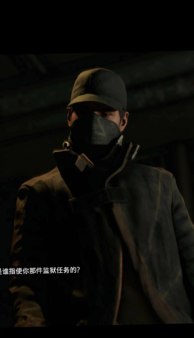 看门狗是什么游戏，玩法特色解析，新手入门指南