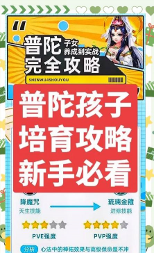 神武手游普陀孩子，培养思路分享，实战表现解析