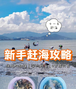 找海鲜的游戏攻略，轻松上手，快速通关