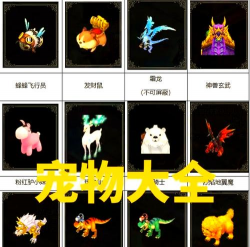 qq宠物有什么游戏，玩法多样，适合休闲放松