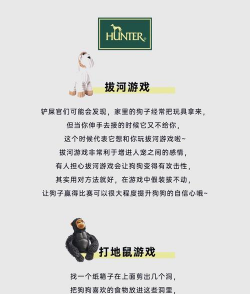 狗狗小游戏入口，轻松找到，快乐玩耍