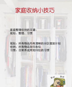 家庭整理收纳游戏攻略，轻松上手，告别杂乱