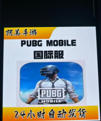 绝地求生国际服手游，下载方式多样，体验全球对战