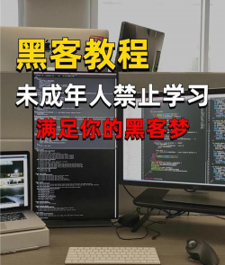 格斗游戏黑客怎么玩，掌握核心技巧，提升实战水平