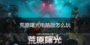 午夜荒原游戏怎么玩不了，常见原因排查，快速解决指南