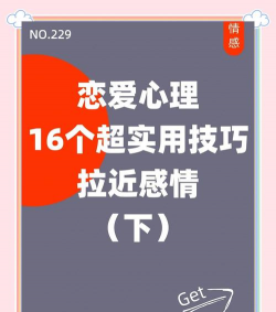 恋爱攻略游戏，新手入门指南，轻松提升好感度