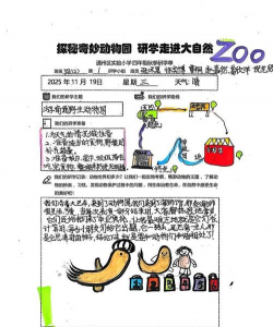 动物为什么游戏，探索背后原因，理解行为意义