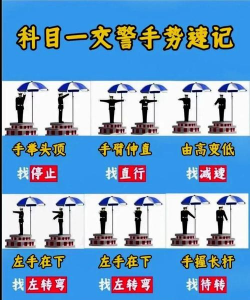 游戏德国交警怎么玩，新手入门指南，快速上手技巧