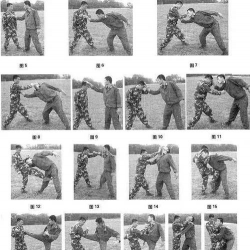 格斗游戏原罪怎么玩，新手入门指南，实战技巧分享