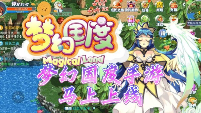 梦幻手游变态版，版本选择要点，安全下载提醒