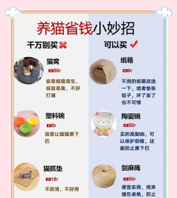 猫咪猫咪游戏攻略，新手入门指南，快速上手技巧