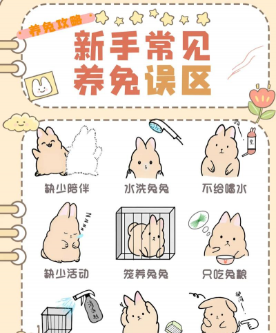 兔子帮游戏解说，新手入门指南，快速上手技巧