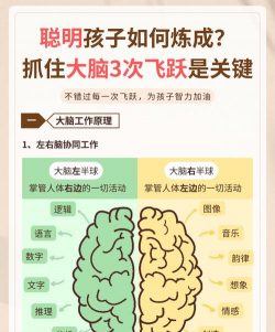 最强大脑的游戏攻略，提升解题速度，掌握核心技巧