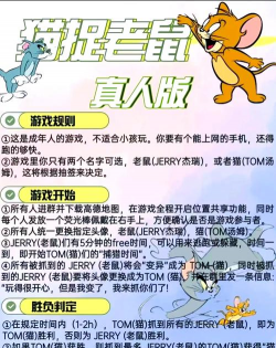 猫鼠游戏的攻略，掌握核心技巧，轻松赢得胜利