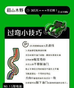 跑跑卡丁车攻略游戏，新手入门技巧，高手进阶指南