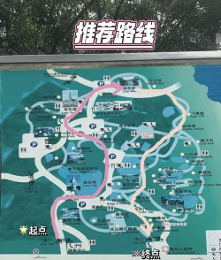 莲花山攻略游戏，怎么玩才过瘾，新手必看指南