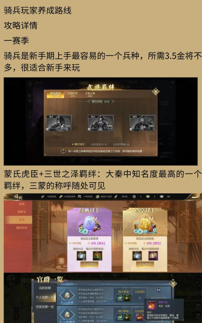 大秦王朝手游，怎么玩才有趣，新手避坑指南