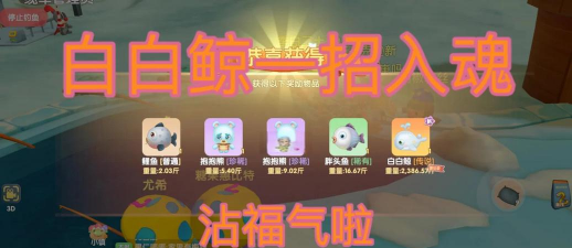 白鲸攻略游戏，玩法技巧分享，新手入门指南