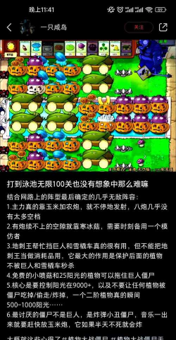 回家游戏攻略，新手入门指南，快速通关技巧