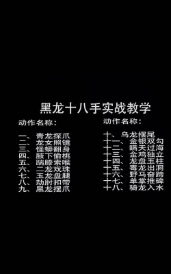 龙之游戏攻略，新手快速上手，老手进阶技巧