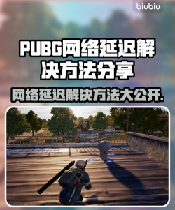 怎么玩国外游戏，解决网络延迟，轻松跨区体验