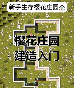 家园游戏攻略，新手入门指南，高手进阶技巧