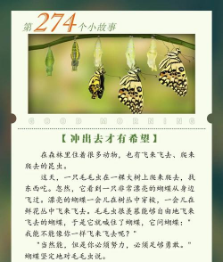 毛毛虫游戏怎么玩，掌握核心规则，轻松上手不踩坑
